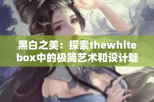 黑白之美：探索thewhitebox中的极简艺术和设计魅力