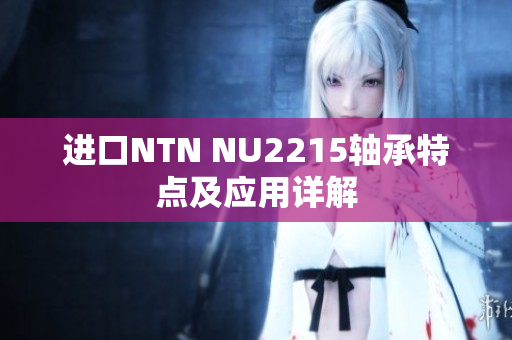 进口NTN NU2215轴承特点及应用详解