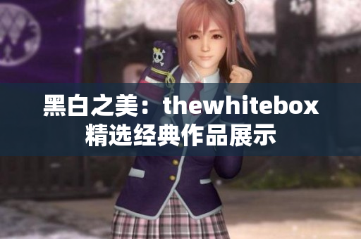 黑白之美：thewhitebox精选经典作品展示