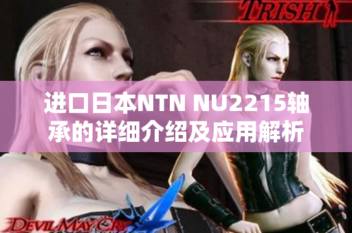 进口日本NTN NU2215轴承的详细介绍及应用解析