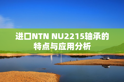 进口NTN NU2215轴承的特点与应用分析