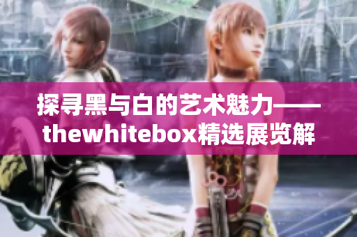 探寻黑与白的艺术魅力——thewhitebox精选展览解读