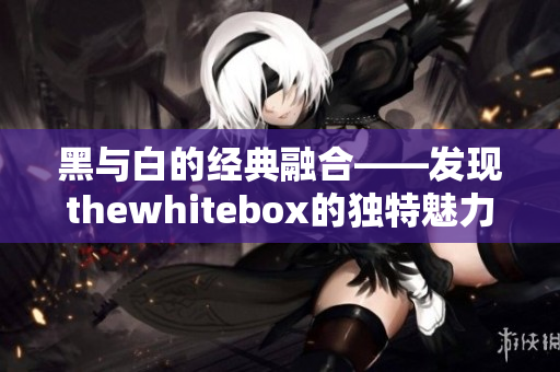 黑与白的经典融合——发现thewhitebox的独特魅力