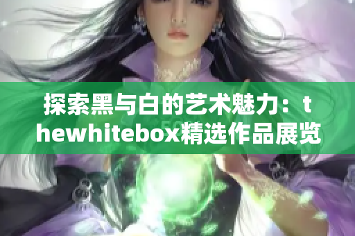 探索黑与白的艺术魅力：thewhitebox精选作品展览