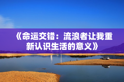 《命运交错：流浪者让我重新认识生活的意义》