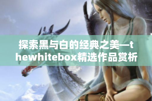 探索黑与白的经典之美—thewhitebox精选作品赏析