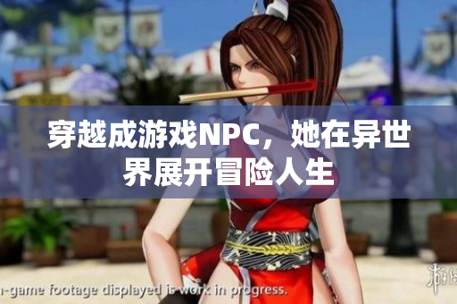 穿越成游戏NPC，她在异世界展开冒险人生