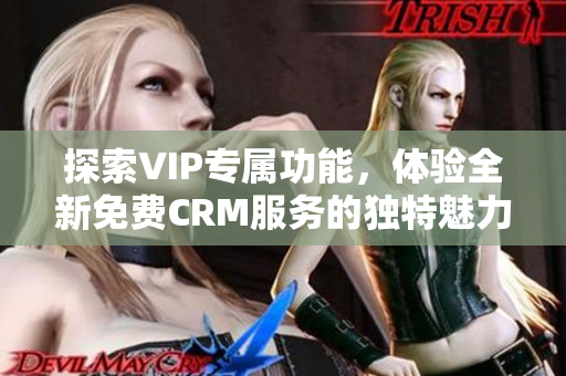 探索VIP专属功能，体验全新免费CRM服务的独特魅力