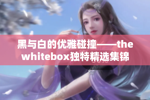 黑与白的优雅碰撞——thewhitebox独特精选集锦