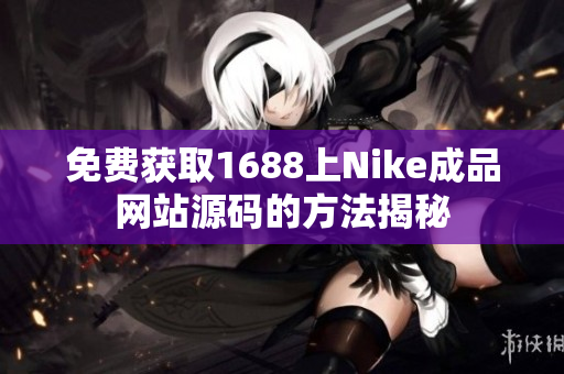 免费获取1688上Nike成品网站源码的方法揭秘