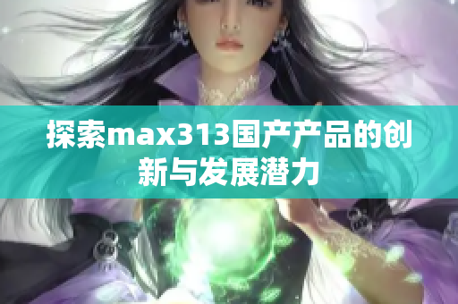 探索max313国产产品的创新与发展潜力