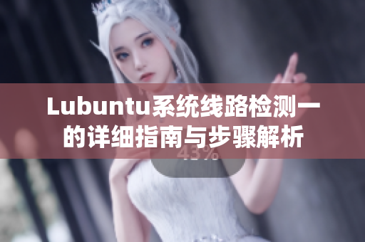 Lubuntu系统线路检测一的详细指南与步骤解析