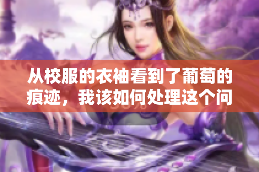 从校服的衣袖看到了葡萄的痕迹，我该如何处理这个问题