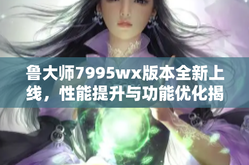 鲁大师7995wx版本全新上线，性能提升与功能优化揭秘