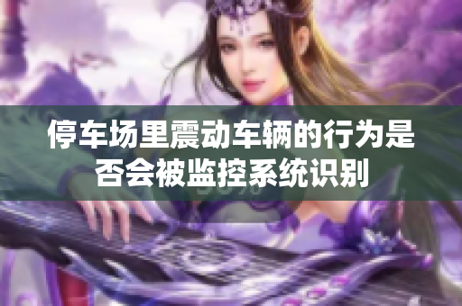 停车场里震动车辆的行为是否会被监控系统识别