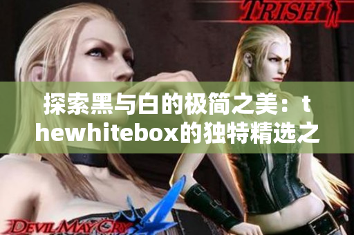 探索黑与白的极简之美：thewhitebox的独特精选之旅