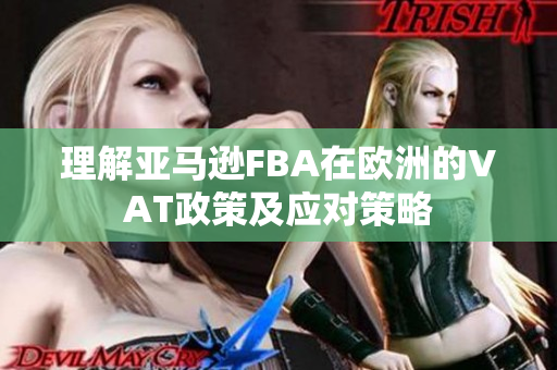 理解亚马逊FBA在欧洲的VAT政策及应对策略