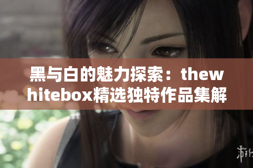 黑与白的魅力探索：thewhitebox精选独特作品集解读