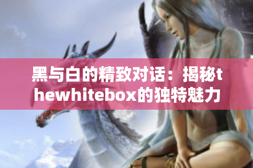 黑与白的精致对话：揭秘thewhitebox的独特魅力