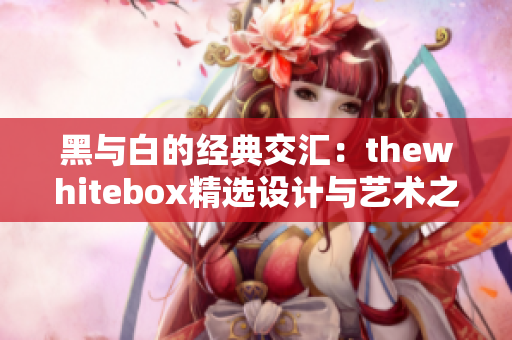 黑与白的经典交汇：thewhitebox精选设计与艺术之美