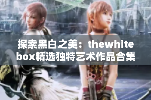 探索黑白之美：thewhitebox精选独特艺术作品合集