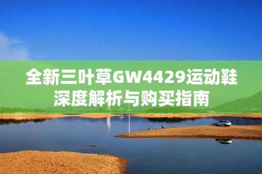 全新三叶草GW4429运动鞋深度解析与购买指南