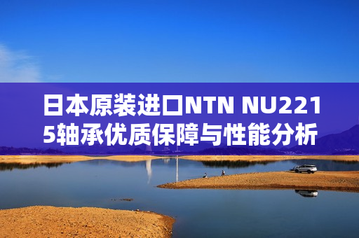 日本原装进口NTN NU2215轴承优质保障与性能分析