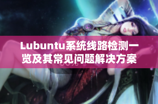 Lubuntu系统线路检测一览及其常见问题解决方案