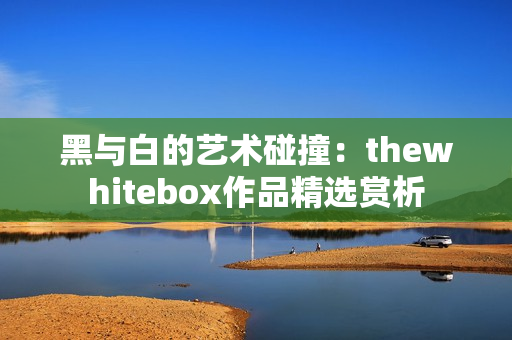 黑与白的艺术碰撞：thewhitebox作品精选赏析