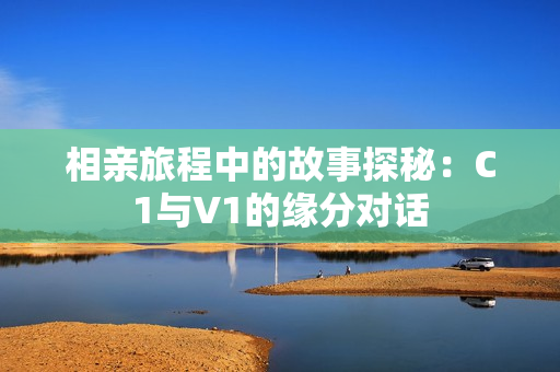 相亲旅程中的故事探秘：C1与V1的缘分对话