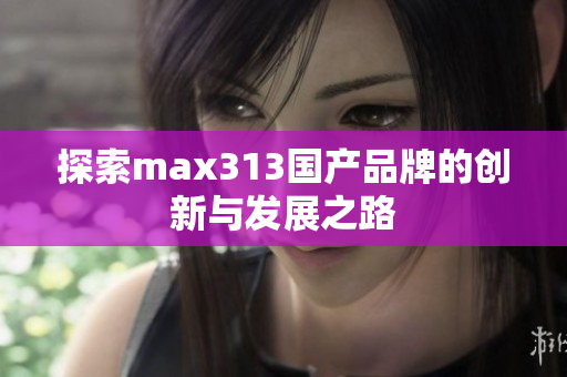 探索max313国产品牌的创新与发展之路