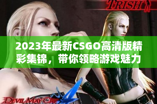 2023年最新CSGO高清版精彩集锦，带你领略游戏魅力