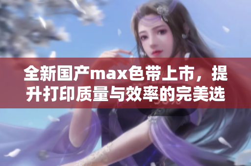 全新国产max色带上市，提升打印质量与效率的完美选择