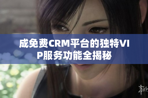 成免费CRM平台的独特VIP服务功能全揭秘