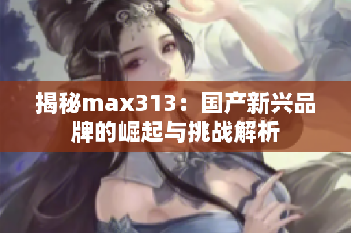 揭秘max313：国产新兴品牌的崛起与挑战解析