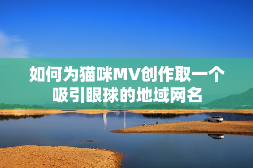 如何为猫咪MV创作取一个吸引眼球的地域网名