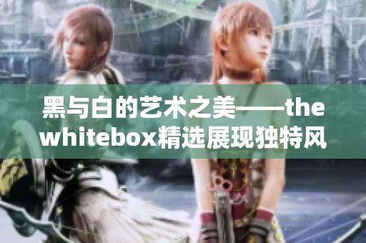 黑与白的艺术之美——thewhitebox精选展现独特风格