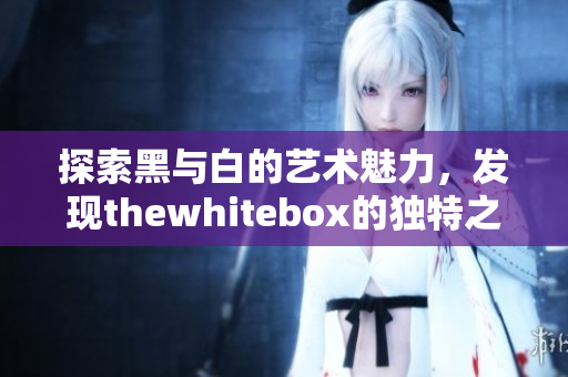 探索黑与白的艺术魅力，发现thewhitebox的独特之选