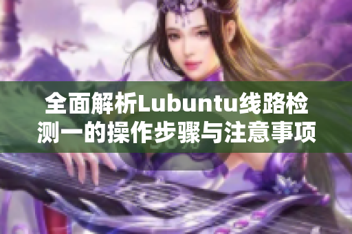 全面解析Lubuntu线路检测一的操作步骤与注意事项