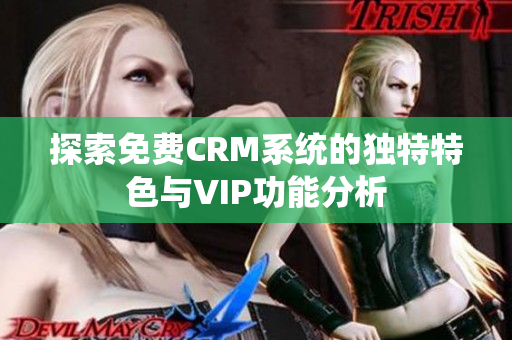 探索免费CRM系统的独特特色与VIP功能分析