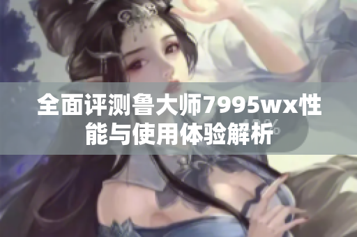 全面评测鲁大师7995wx性能与使用体验解析