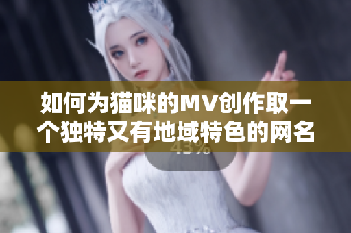 如何为猫咪的MV创作取一个独特又有地域特色的网名