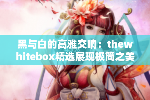 黑与白的高雅交响：thewhitebox精选展现极简之美