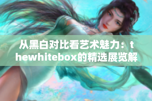 从黑白对比看艺术魅力：thewhitebox的精选展览解读