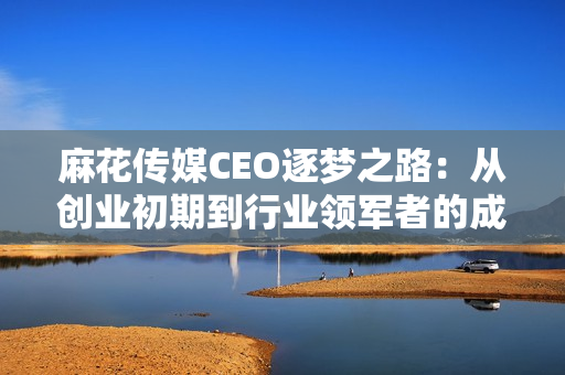 麻花传媒CEO逐梦之路：从创业初期到行业领军者的成长蜕变