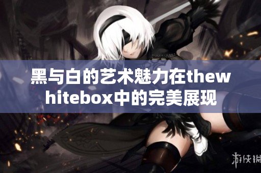 黑与白的艺术魅力在thewhitebox中的完美展现