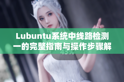 Lubuntu系统中线路检测一的完整指南与操作步骤解析