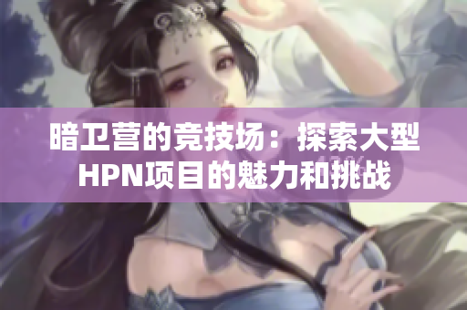 暗卫营的竞技场：探索大型HPN项目的魅力和挑战