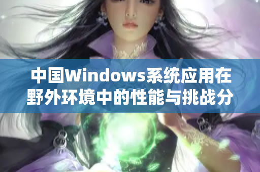 中国Windows系统应用在野外环境中的性能与挑战分析