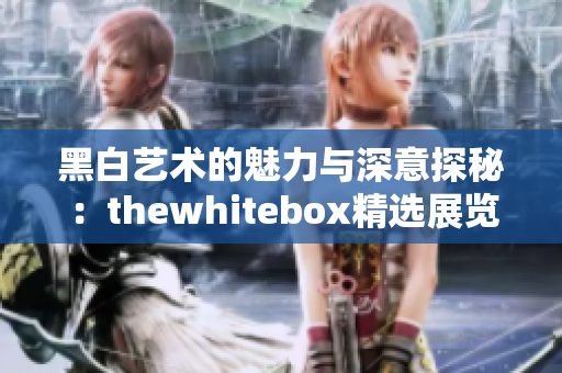 黑白艺术的魅力与深意探秘：thewhitebox精选展览解读